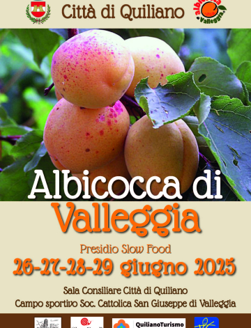 ALBICOCCA DI VALLEGGIA 2025