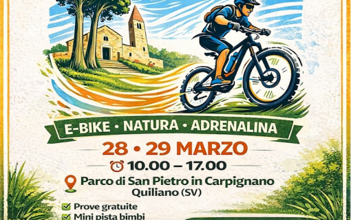 𝐐𝐔𝐈𝐋𝐈𝐀𝐍𝐎 𝐑𝐈𝐃𝐄 𝟐𝟎𝟐𝟔